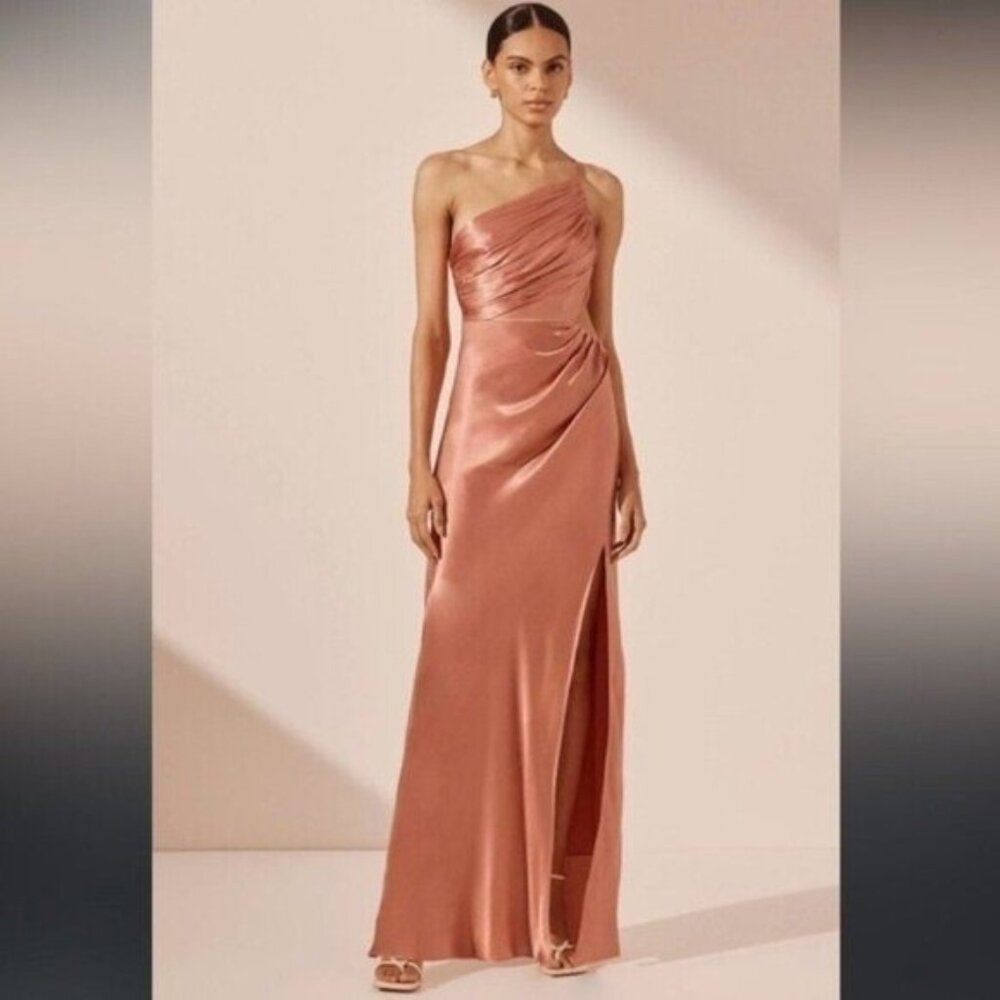 NWT Shona Joy SJ6023 La Lune Asymmetrical Gathered Maxi Dress Antique Rose 6